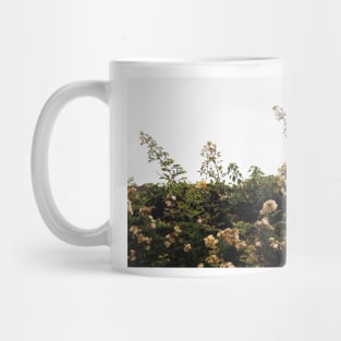 Vintage rose garden Mug